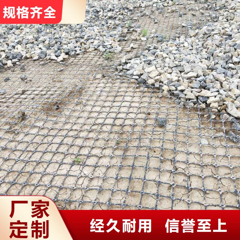 双向钢塑土工格栅单价