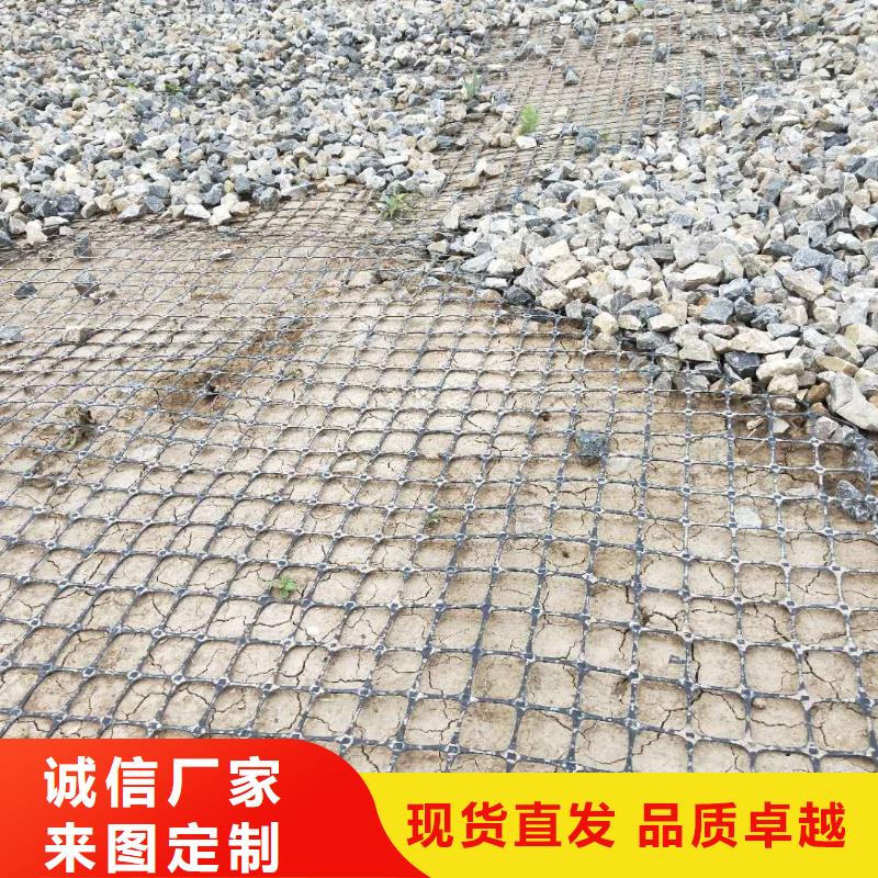 双向钢塑土工格栅单价