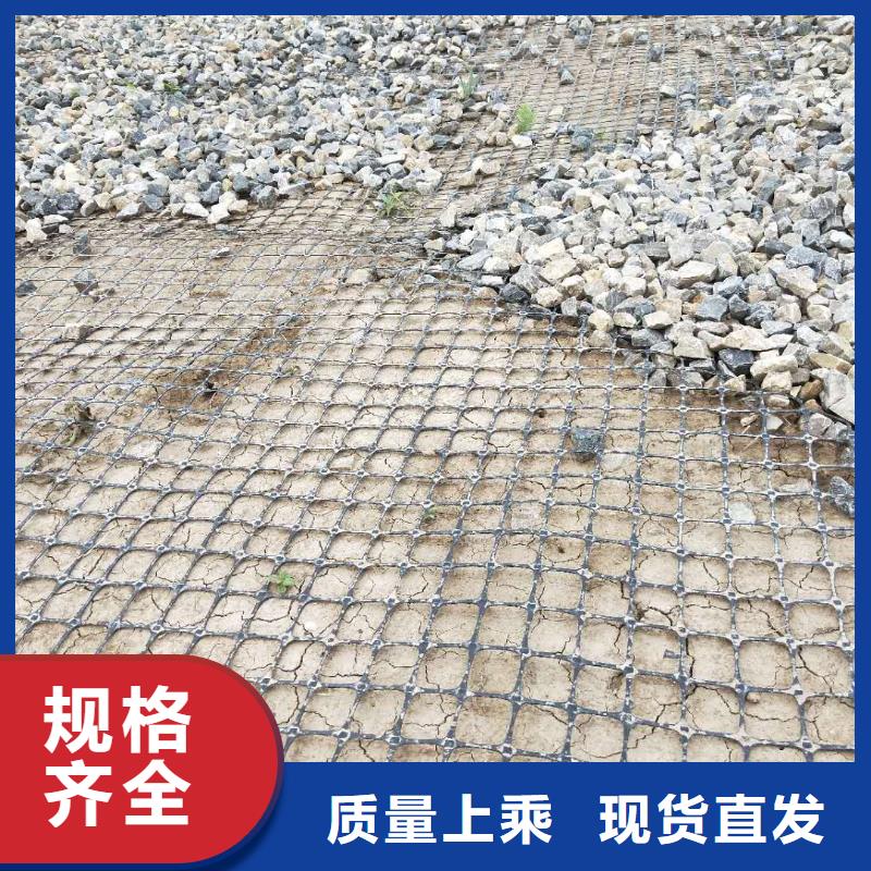 双向塑料土工格栅厂家