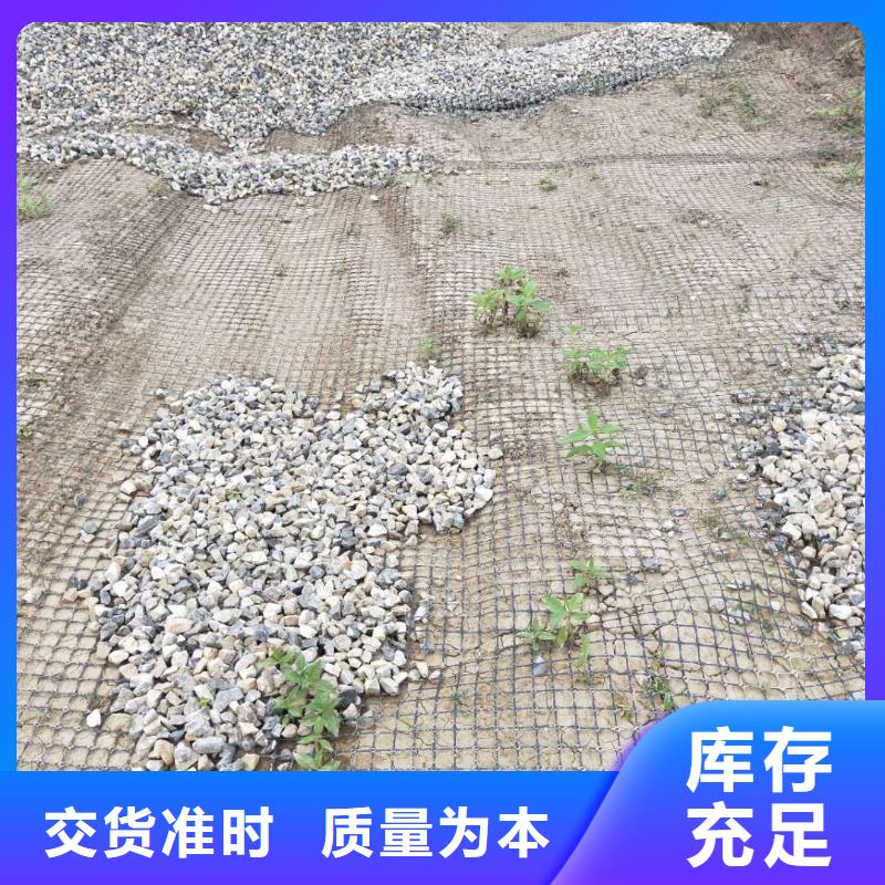 双向塑料土工格栅欢迎电询