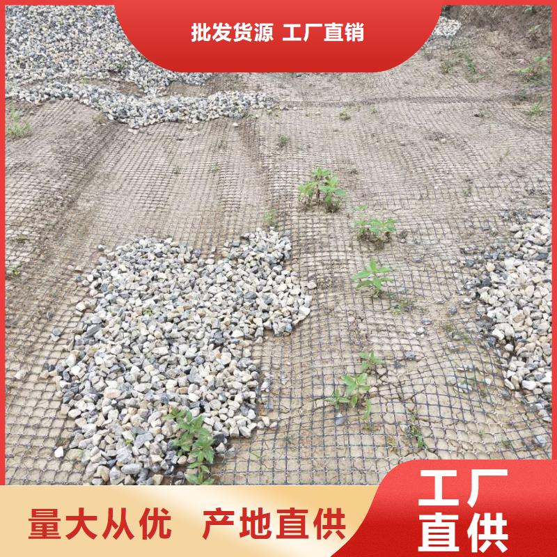 双向钢塑土工格栅生产厂家