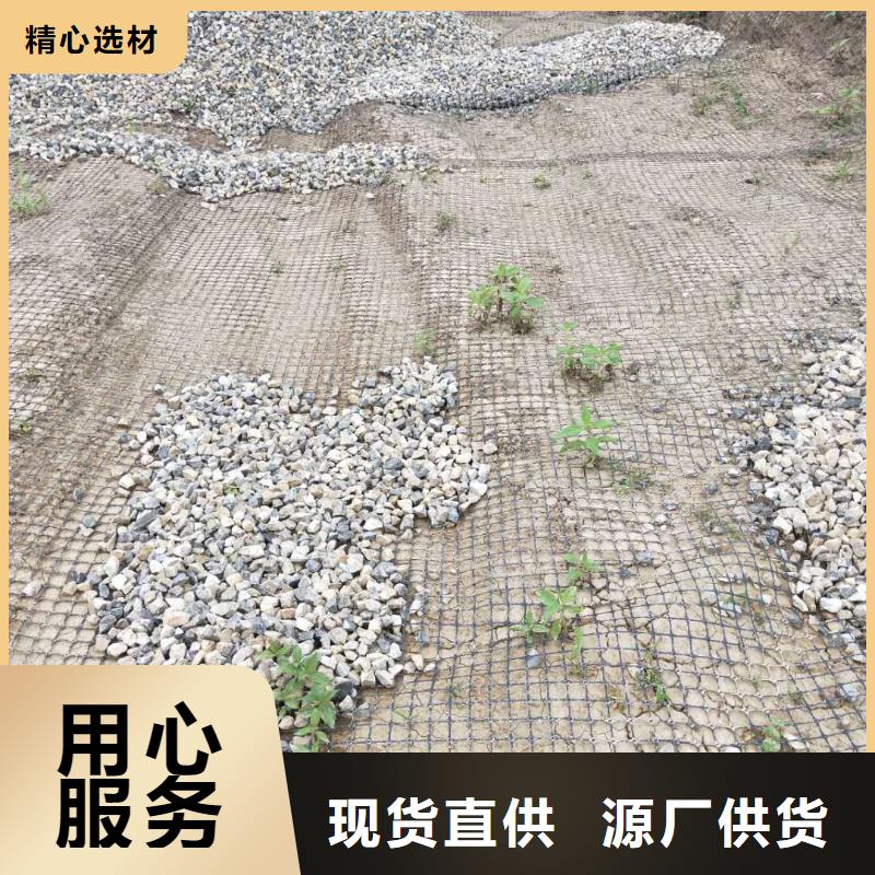 双向塑料土工格栅价格