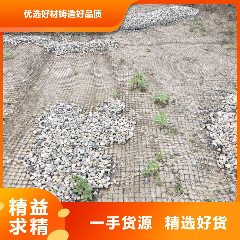 双向拉伸土工格栅供应商