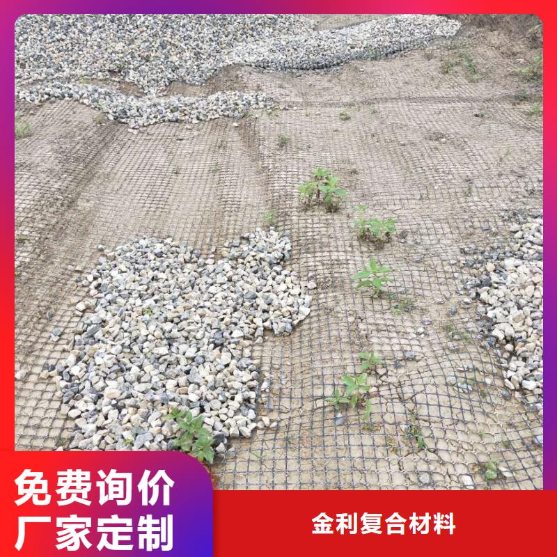 双向拉伸土工格栅厂家现货