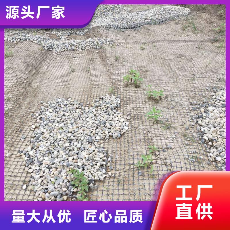 钢塑土工格栅电话