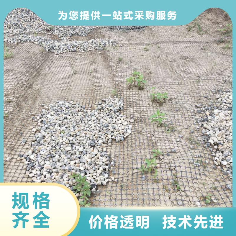 塑料土工格栅供应商