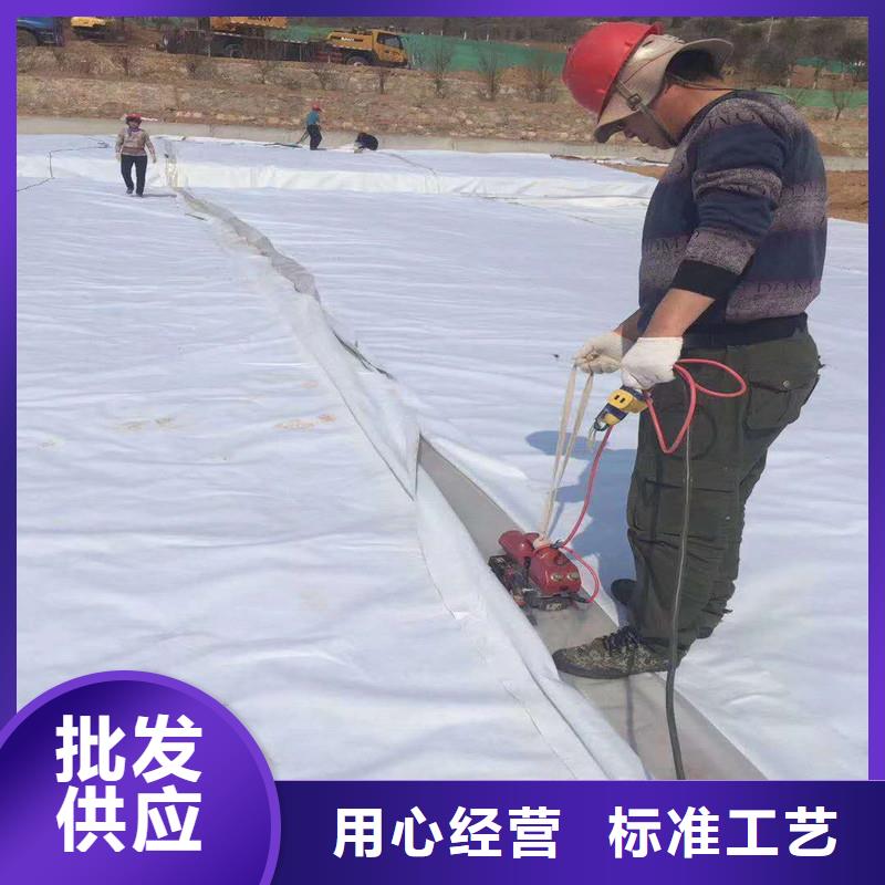 【土工布】双向塑料土工格栅满足多种行业需求