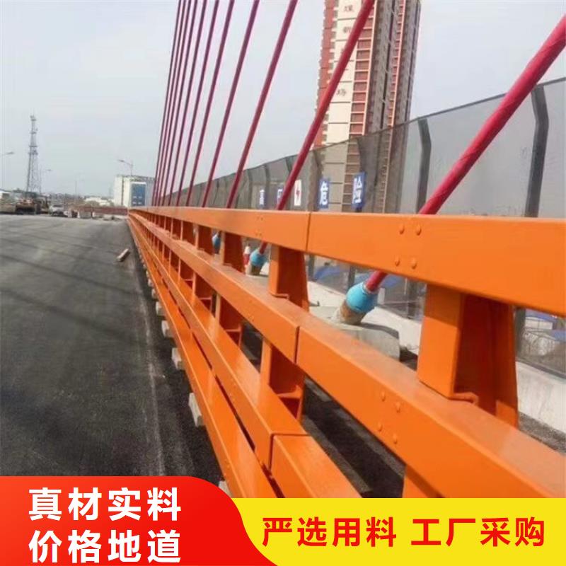 实力厂家直销[神龙]桥梁钢护栏制造厂家