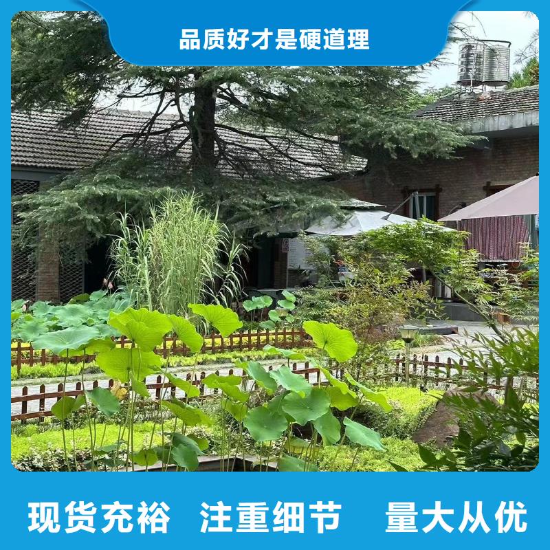 农村建房图片