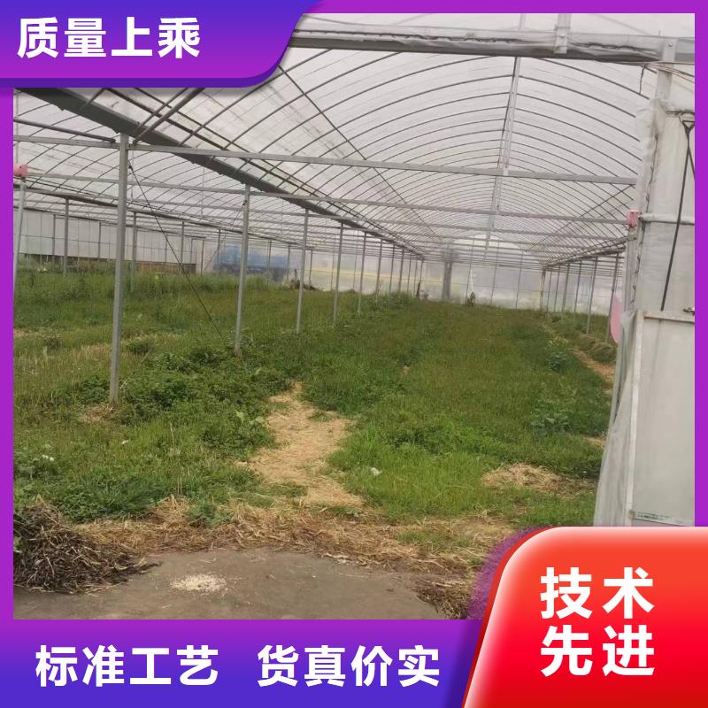 新绛县蔬菜大棚无滴长寿膜工厂直销