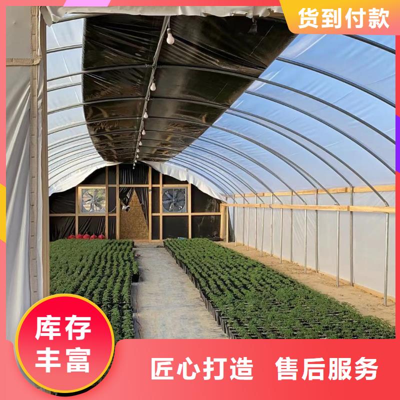 江岸区连栋大棚温室生产厂家量大从优2024-8-28