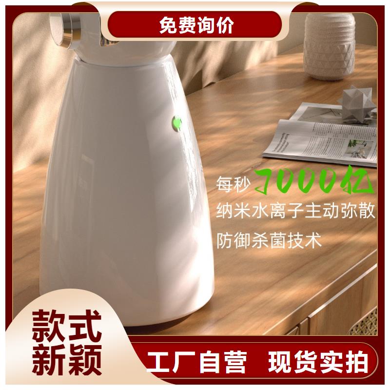 【深圳】家庭呼吸健康，从小白开始厂家报价小白空气守护机