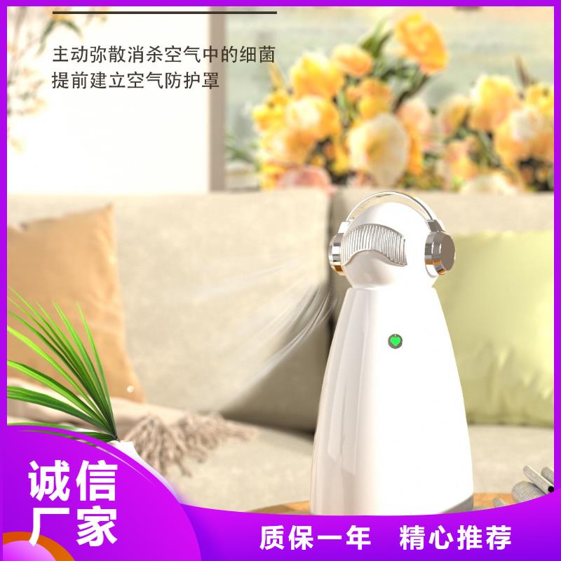 【深圳】睡眠健康管理厂家现货小白空气守护机