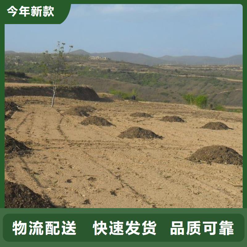清丰南乐莘县羊粪有机肥庄稼的好肥料