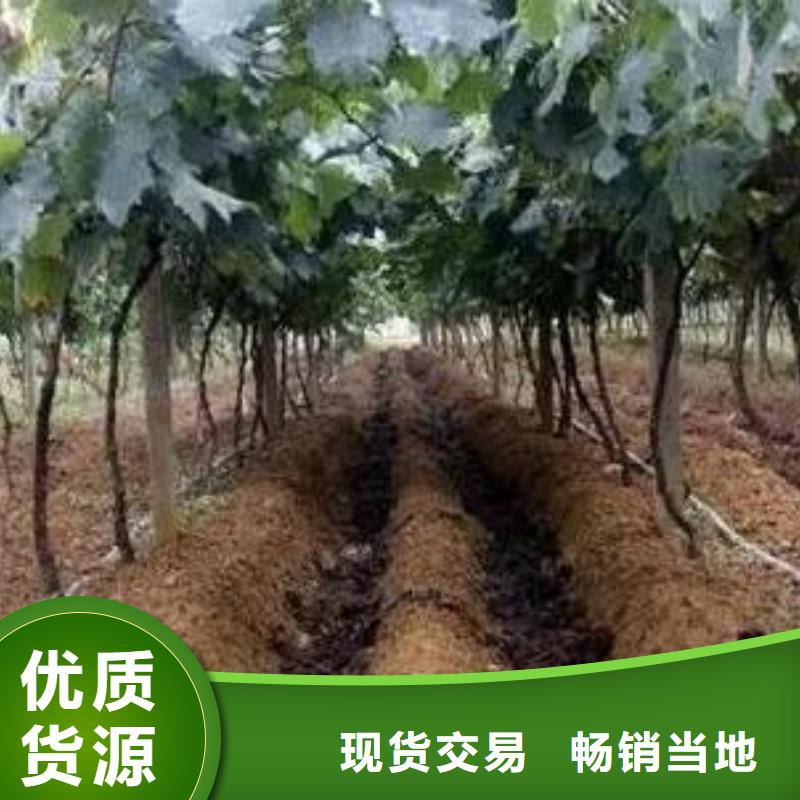 荆州三门峡灵宝干鸡粪植树造林好肥料