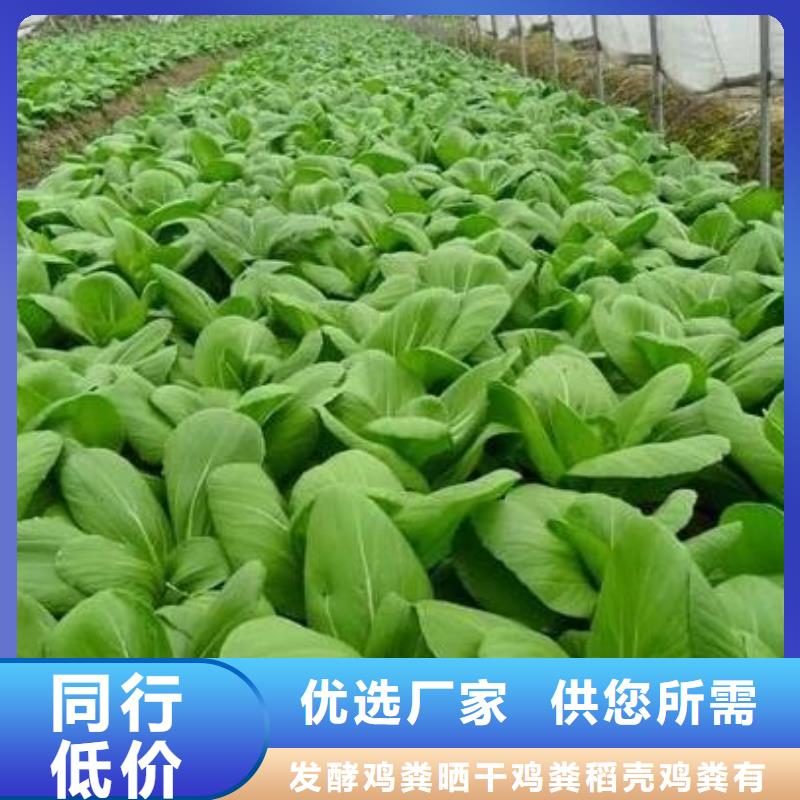 东阿聊城上海发酵有机肥提高土壤活性