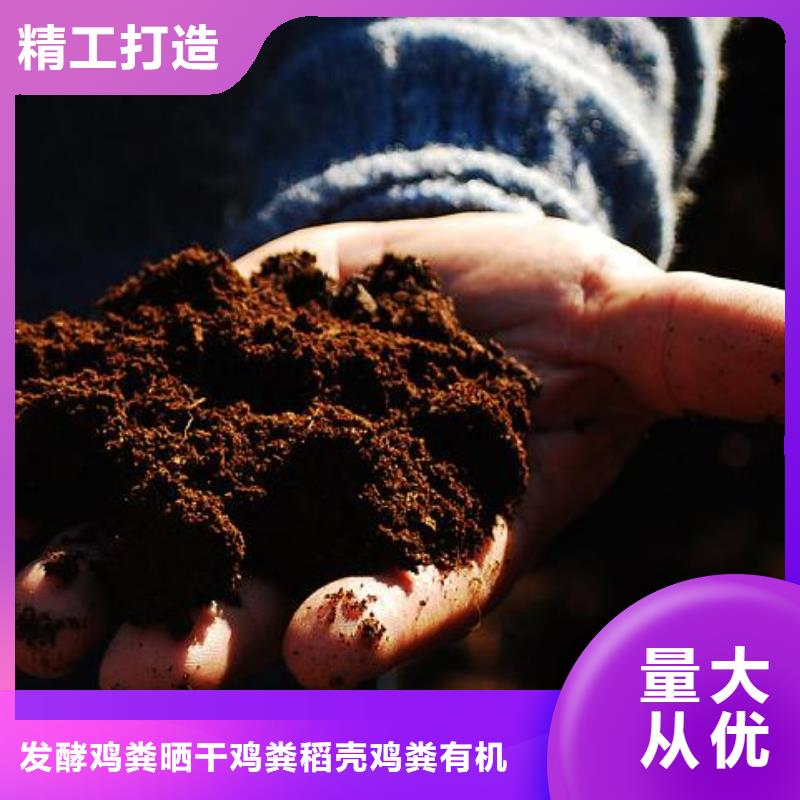 白沙县有机肥大姜施肥