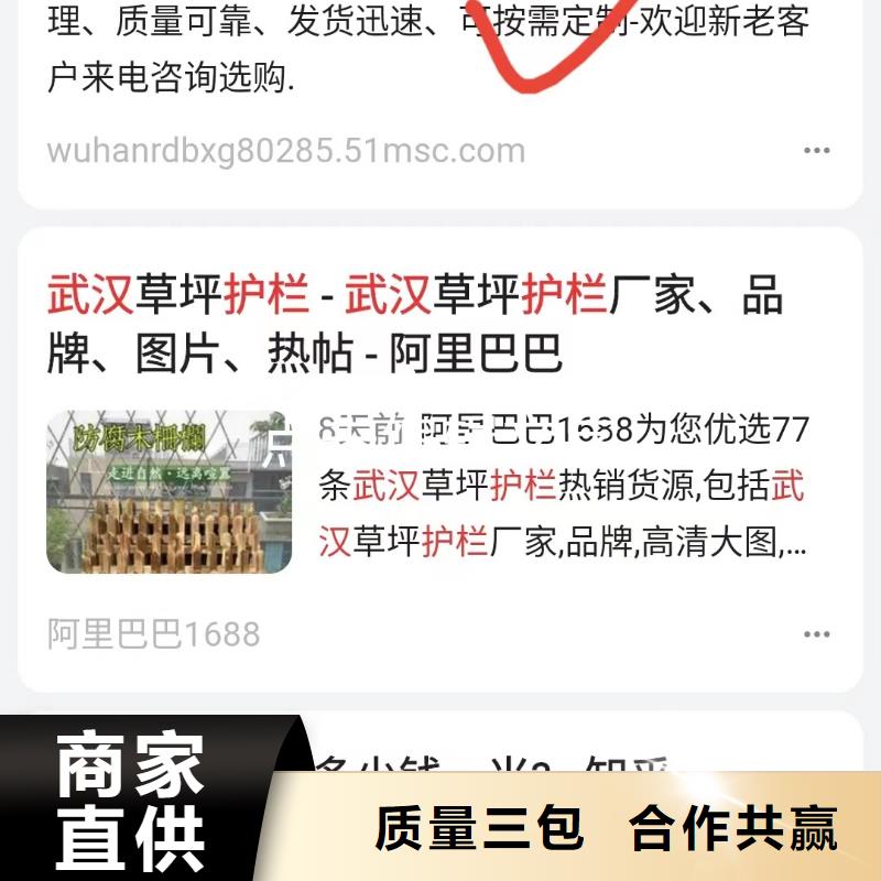 软件网站制作开发不容错过