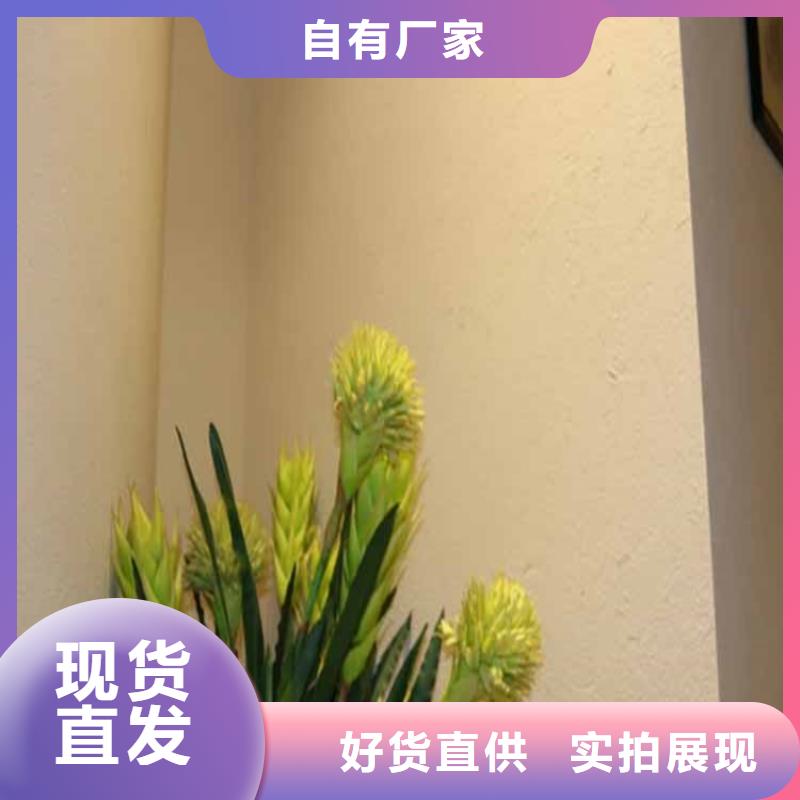 无机灰泥涂料施工工艺