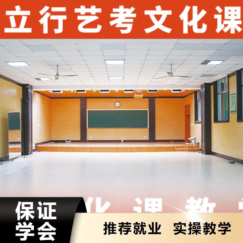 学校有哪些艺术生文化课培训补习