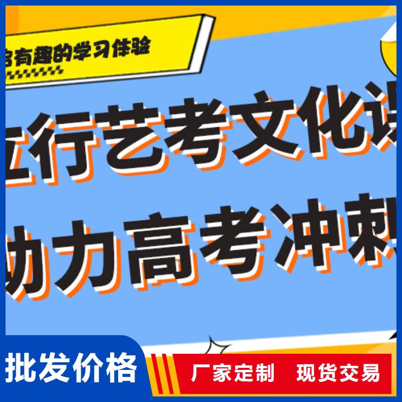 艺考文化课补习哪个好双文化课教学