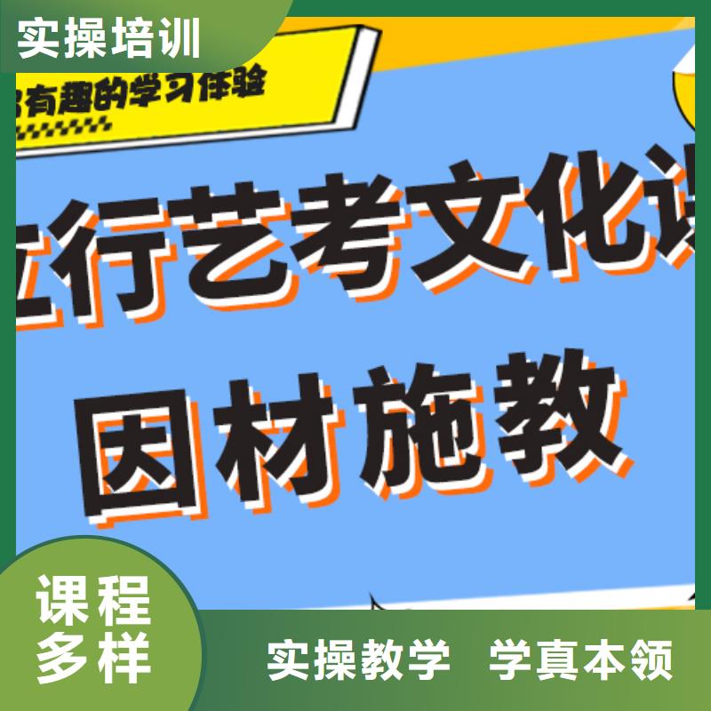 艺术生文化课补习机构开始招生了吗