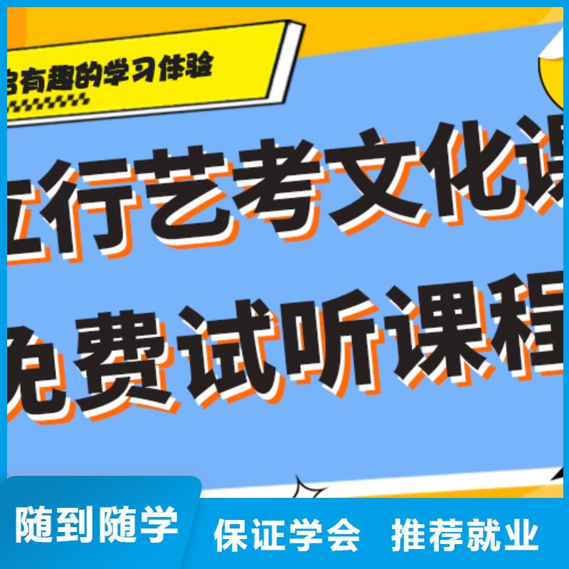 艺体生文化课培训补习排行艺考生文化课专用教材