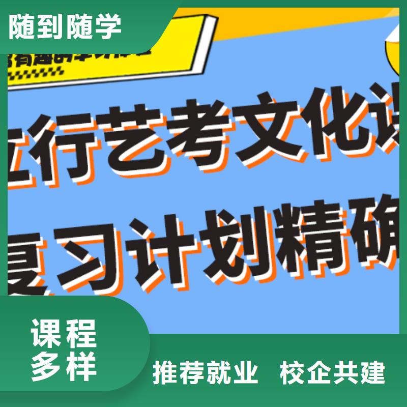 学费艺术生文化课补习学校艺考生文化课专用教材