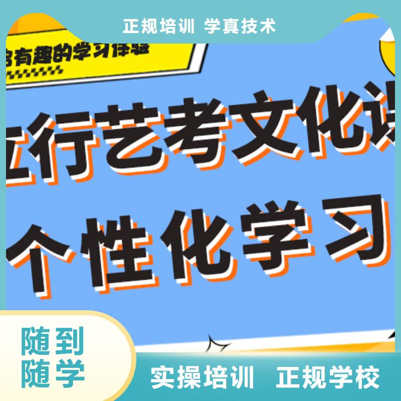 一览表艺术生文化课补习机构定制专属课程