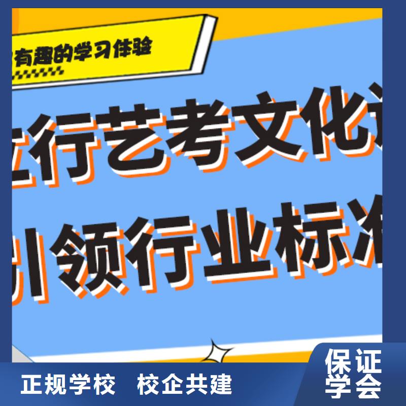 艺术生文化课集训冲刺价格定制专属课程