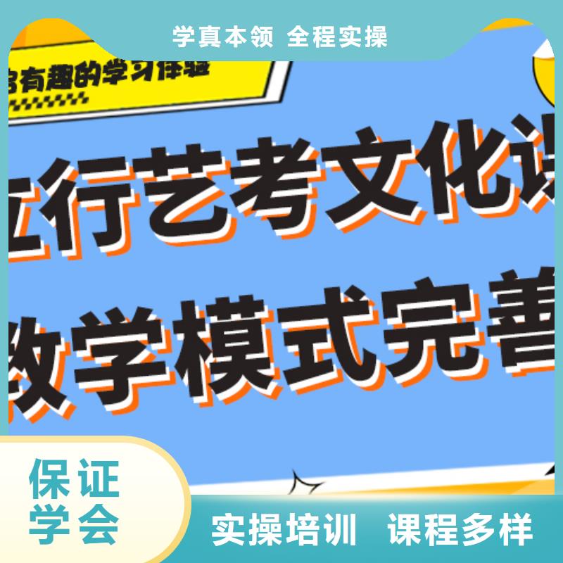 艺考生文化课培训学校哪个好定制专属课程