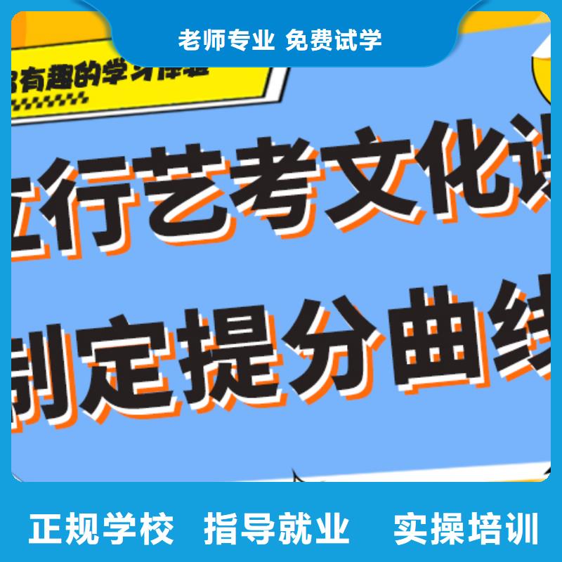 艺术生文化课集训冲刺有哪些定制专属课程