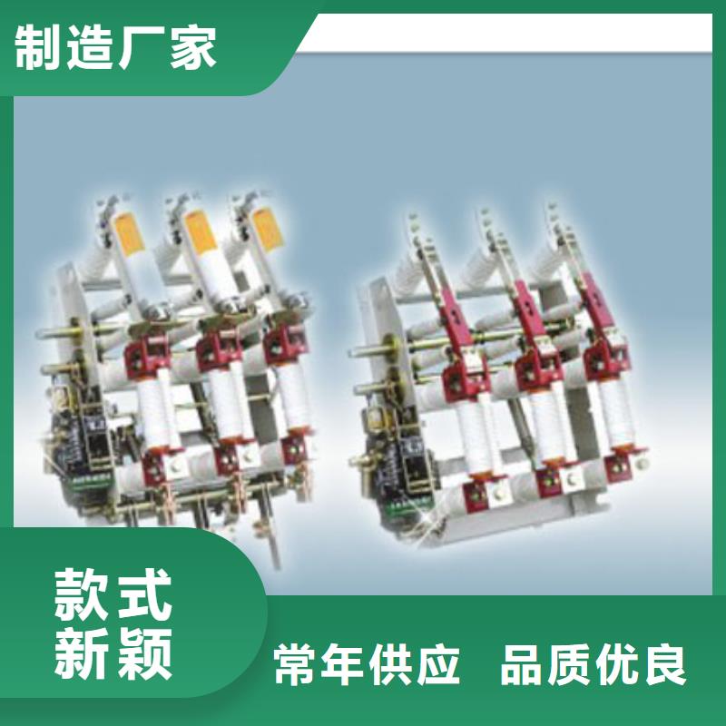 FLRN36-24D/T125-50熔断器-组合式六氟化硫负荷开关