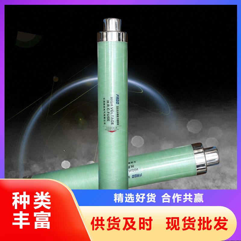 XRNP-40.5/0.5A高压限流熔断器