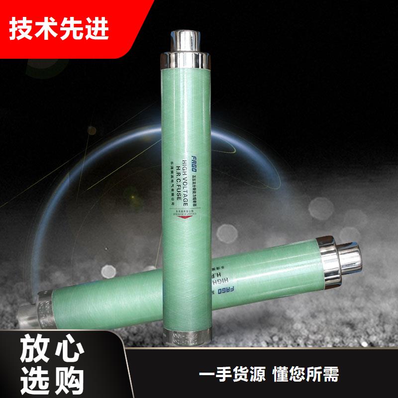 RXWD-35/0.5A限流熔断器樊高