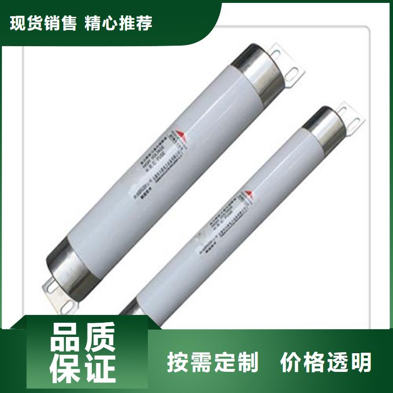 XRNP-40.5/2A高压PT熔管