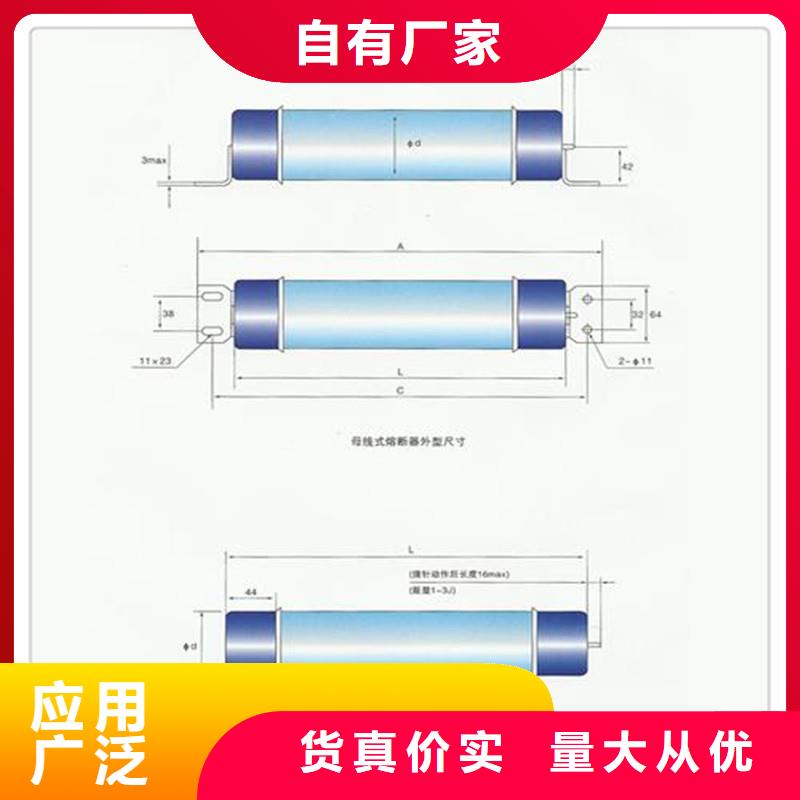 WFNHO-3.6/80A限流熔断器