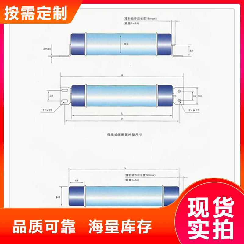 RXWD-35/0.5A限流熔断器樊高