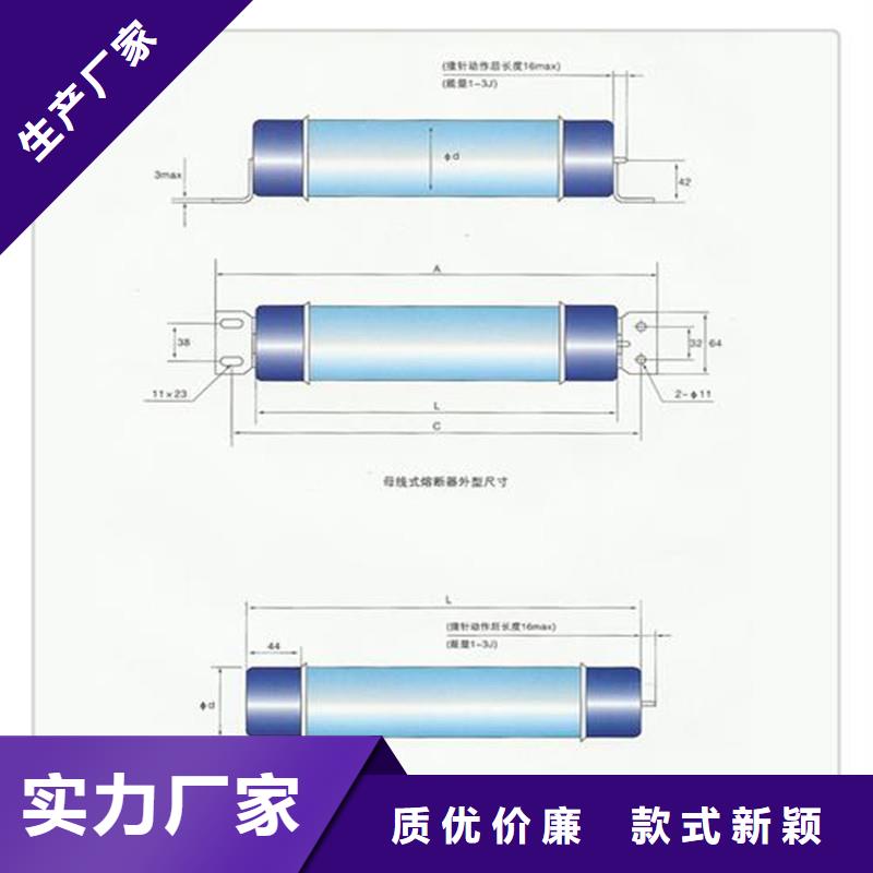 WFNHO-3.6/50A限流熔断器