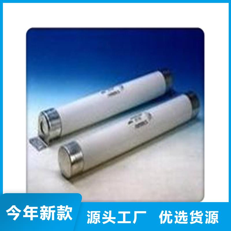 XRNT-12/31.5A高压PT熔管