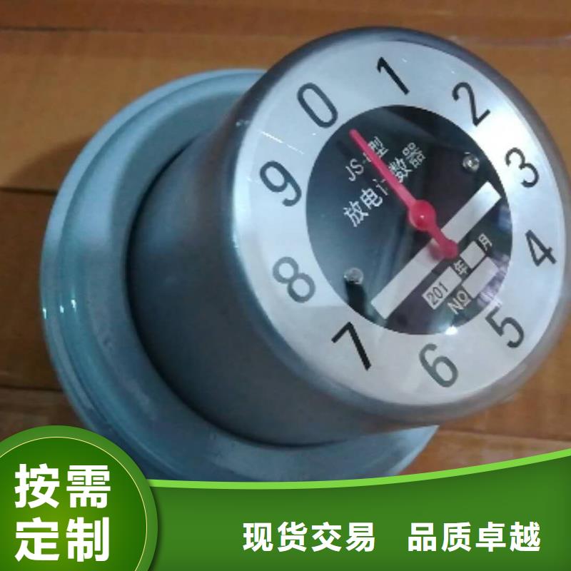 JSY-10避雷器计数器