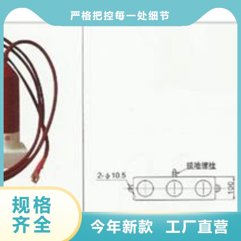 JS-10避雷器计数器