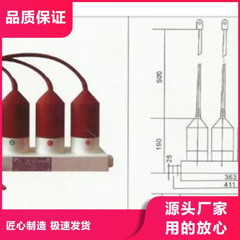 JSY-10/600放电计数器