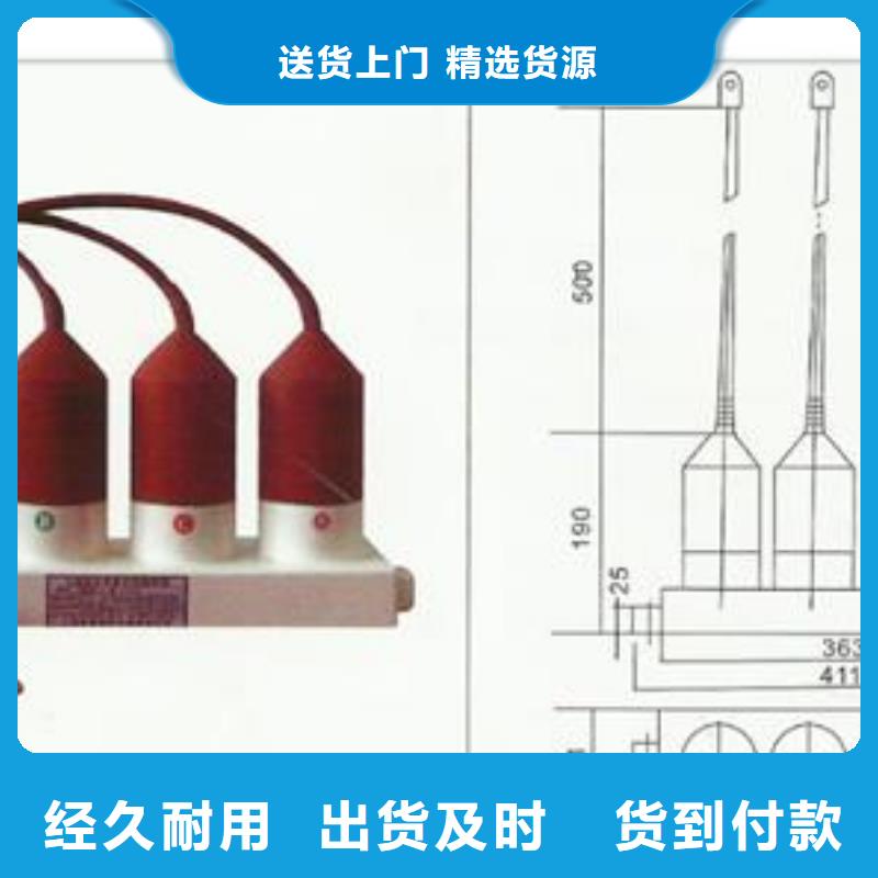 JSY-8L放电计数器特征