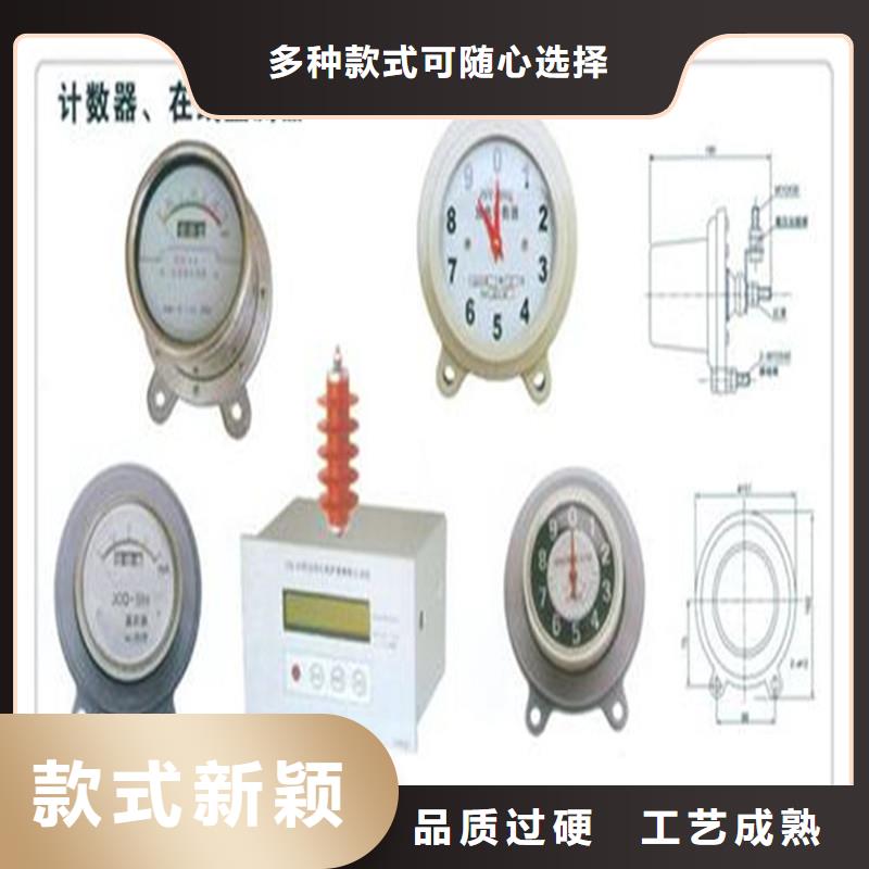 JSY-10避雷器计数器