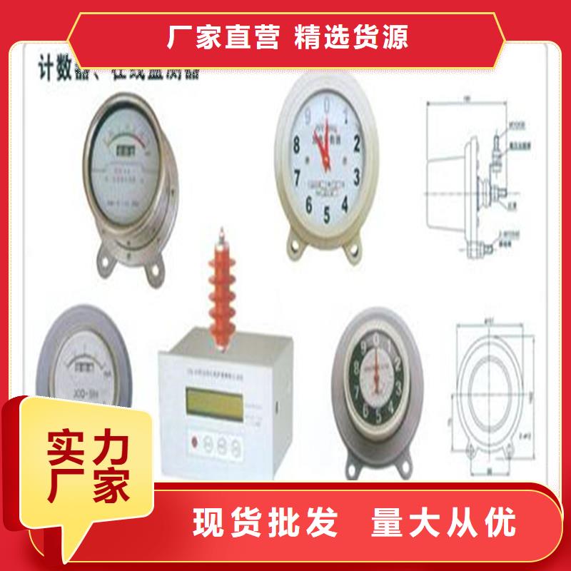 JCQ-C4避雷器放电计数器价格