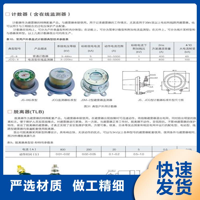 JSH3C-Y1避雷器放电计数器图片