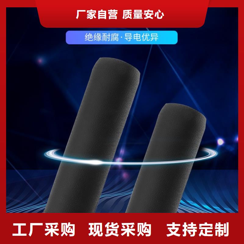 DXN8-12Q带电显示器