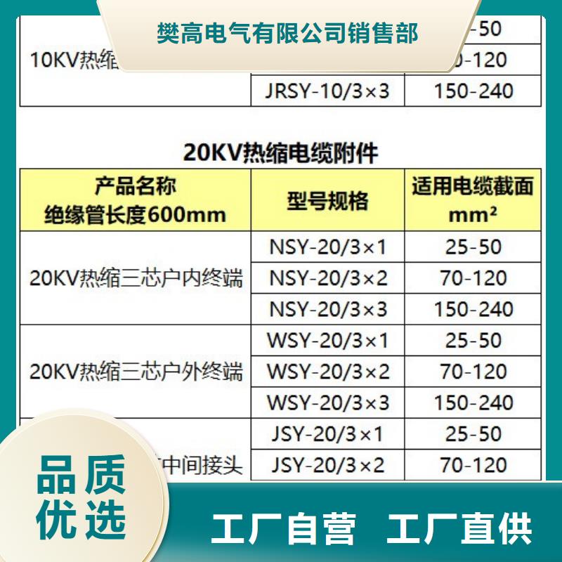 DXN8-6Q带电显示器