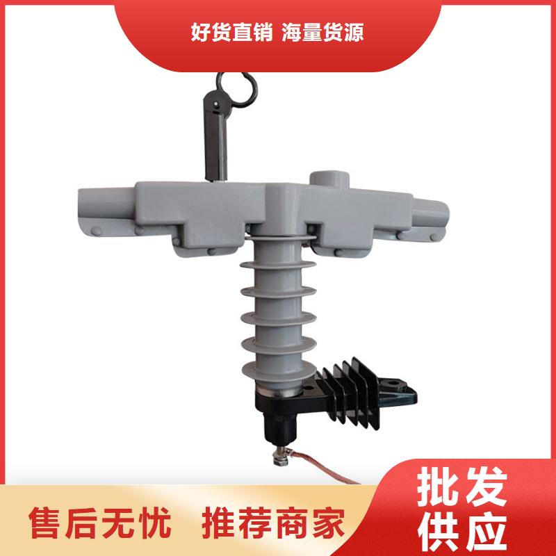 Y5WR-10/27高压避雷器